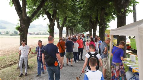 «Lungo il viale». Sapori, natura e il Santuario di Prada 